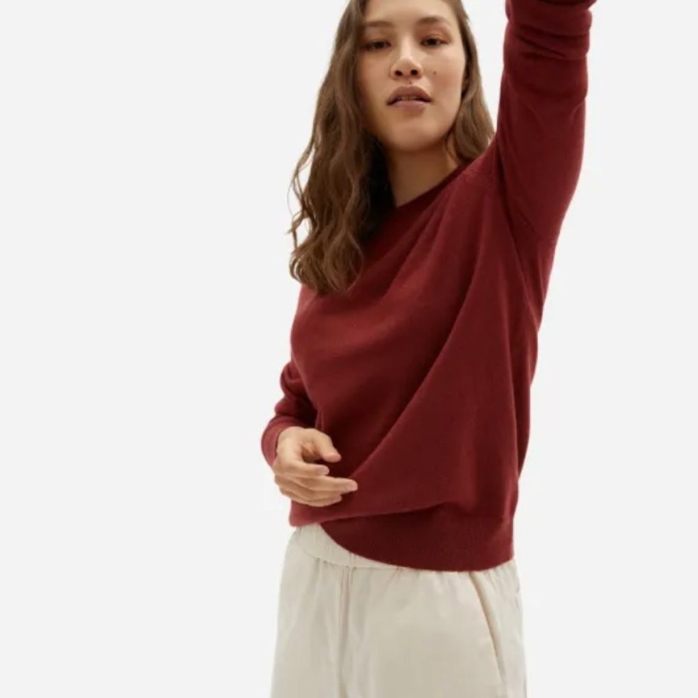 Everlane cashmere sweater size S